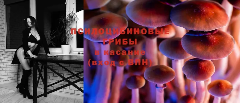 Псилоцибиновые грибы Magic Shrooms  Бежецк 